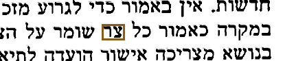 הסימון כפי שהוא מודפס בסריקה, עמ' 16